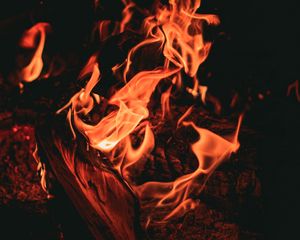 Preview wallpaper bonfire, fire, flame, dark, night