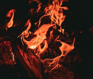 Preview wallpaper bonfire, fire, flame, dark, night