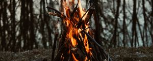 Preview wallpaper bonfire, fire, flame, branches, camping