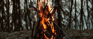 Preview wallpaper bonfire, fire, flame, branches, camping