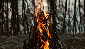 Preview wallpaper bonfire, fire, flame, branches, camping