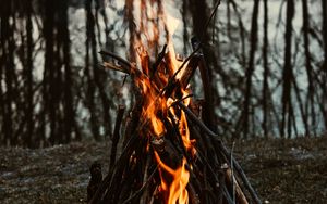 Preview wallpaper bonfire, fire, flame, branches, camping