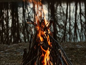 Preview wallpaper bonfire, fire, flame, branches, camping