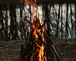 Preview wallpaper bonfire, fire, flame, branches, camping