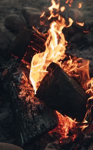 Preview wallpaper bonfire, fire, flame, wood, coals, heat