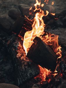 Preview wallpaper bonfire, fire, flame, wood, coals, heat