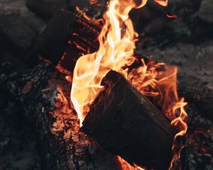 Preview wallpaper bonfire, fire, flame, wood, coals, heat