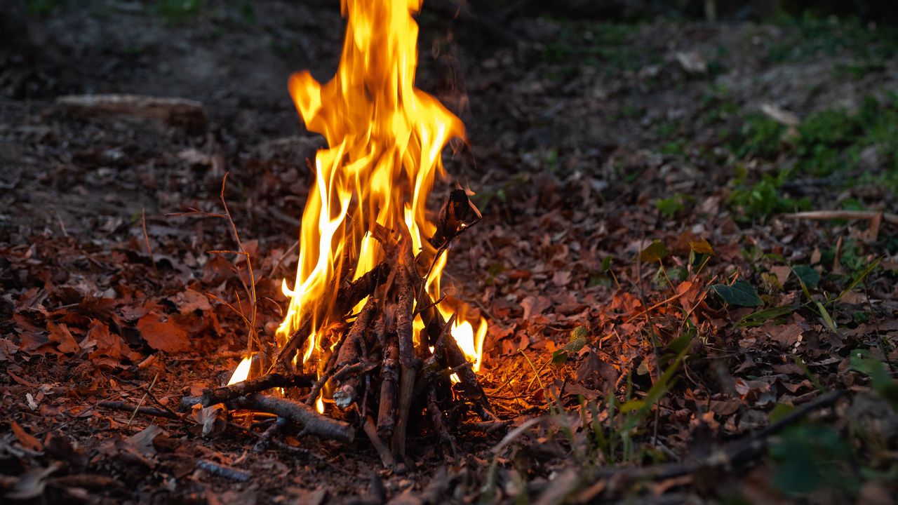 Wallpaper bonfire, fire, flame, forest, camping