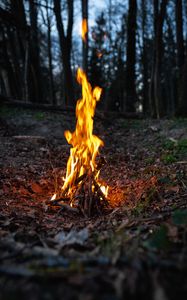 Preview wallpaper bonfire, fire, flame, forest, camping