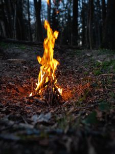 Preview wallpaper bonfire, fire, flame, forest, camping