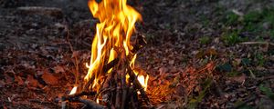 Preview wallpaper bonfire, fire, flame, forest, camping