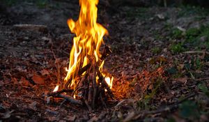 Preview wallpaper bonfire, fire, flame, forest, camping