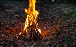 Preview wallpaper bonfire, fire, flame, forest, camping