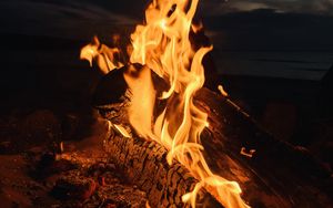 Preview wallpaper bonfire, fire, flame, night, dark