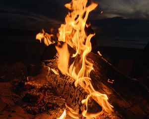 Preview wallpaper bonfire, fire, flame, night, dark