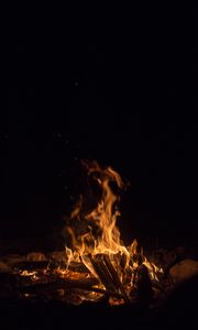 Preview wallpaper bonfire, fire, flame, branches, dark