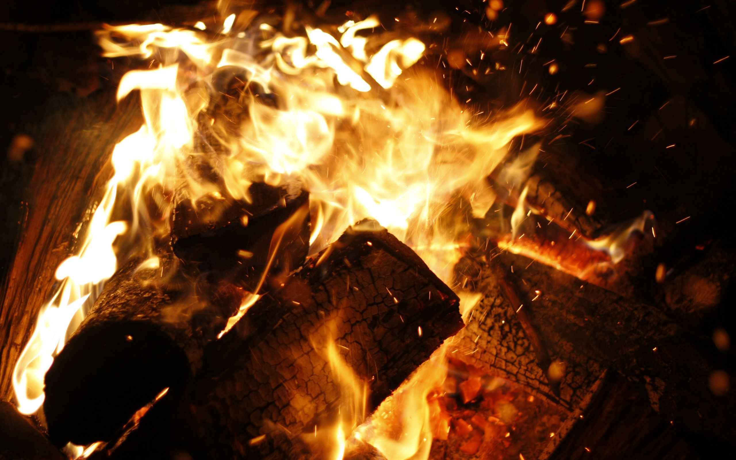 Download wallpaper 2560x1600 bonfire, fire, flames, coals, firewood ...