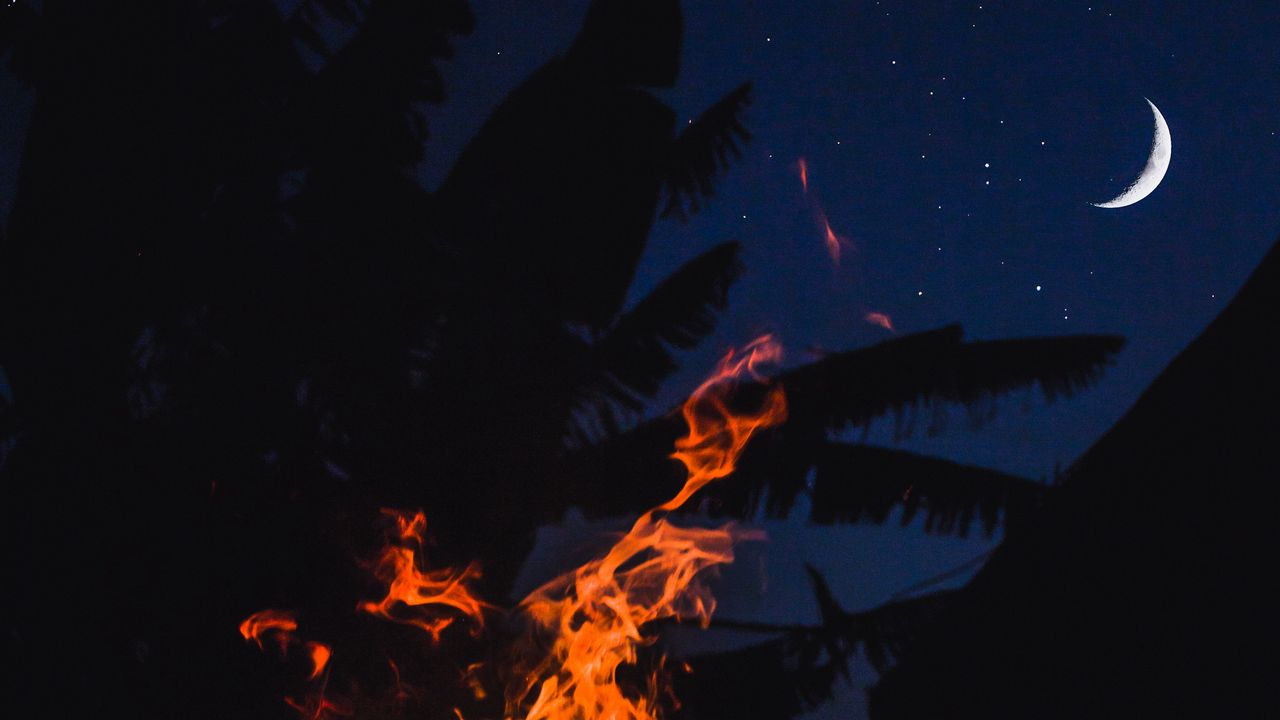 Wallpaper bonfire, fire, night, palm, moon, starry sky