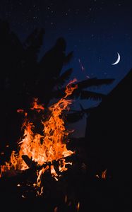 Preview wallpaper bonfire, fire, night, palm, moon, starry sky