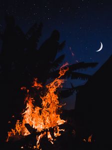 Preview wallpaper bonfire, fire, night, palm, moon, starry sky