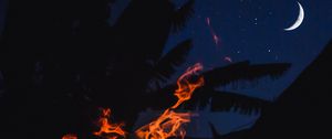 Preview wallpaper bonfire, fire, night, palm, moon, starry sky