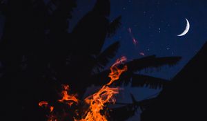 Preview wallpaper bonfire, fire, night, palm, moon, starry sky