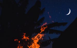 Preview wallpaper bonfire, fire, night, palm, moon, starry sky