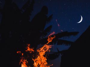 Preview wallpaper bonfire, fire, night, palm, moon, starry sky