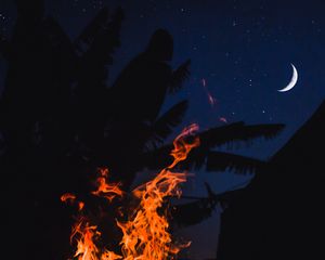 Preview wallpaper bonfire, fire, night, palm, moon, starry sky