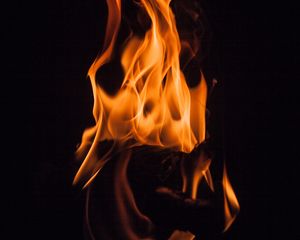 Preview wallpaper bonfire, flame, fire, dark, firewood, shroud, darkness