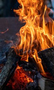 Preview wallpaper bonfire, flame, fire, evening, firewood