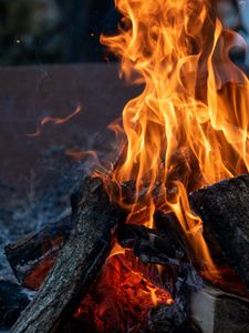 Preview wallpaper bonfire, flame, fire, evening, firewood