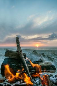 Preview wallpaper bonfire, flame, logs, coals, sunset