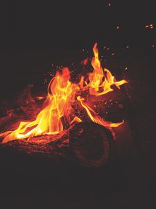 Preview wallpaper bonfire, flame, night