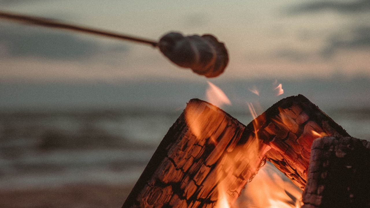 Wallpaper bonfire, logs, fire, marshmallow, flame