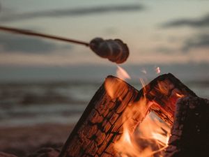 Preview wallpaper bonfire, logs, fire, marshmallow, flame
