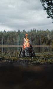 Preview wallpaper bonfire, logs, flame, fire, forest