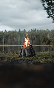 Preview wallpaper bonfire, logs, flame, fire, forest