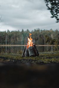 Preview wallpaper bonfire, logs, flame, fire, forest