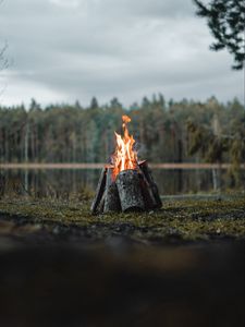 Preview wallpaper bonfire, logs, flame, fire, forest