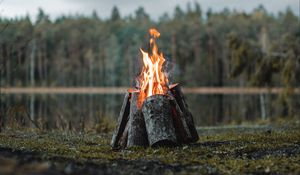 Preview wallpaper bonfire, logs, flame, fire, forest