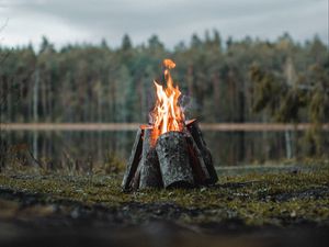 Preview wallpaper bonfire, logs, flame, fire, forest