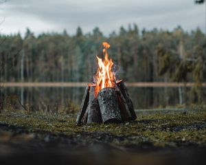 Preview wallpaper bonfire, logs, flame, fire, forest