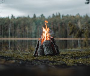 Preview wallpaper bonfire, logs, flame, fire, forest