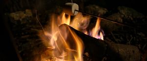 Preview wallpaper bonfire, marshmallow, camping, fire, night