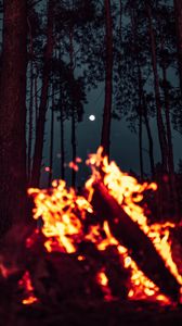 Preview wallpaper bonfire, moon, forest, sparks