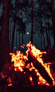 Preview wallpaper bonfire, moon, forest, sparks