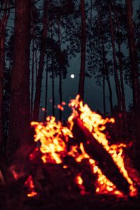 Preview wallpaper bonfire, moon, forest, sparks