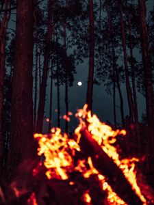 Preview wallpaper bonfire, moon, forest, sparks