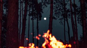 Preview wallpaper bonfire, moon, forest, sparks